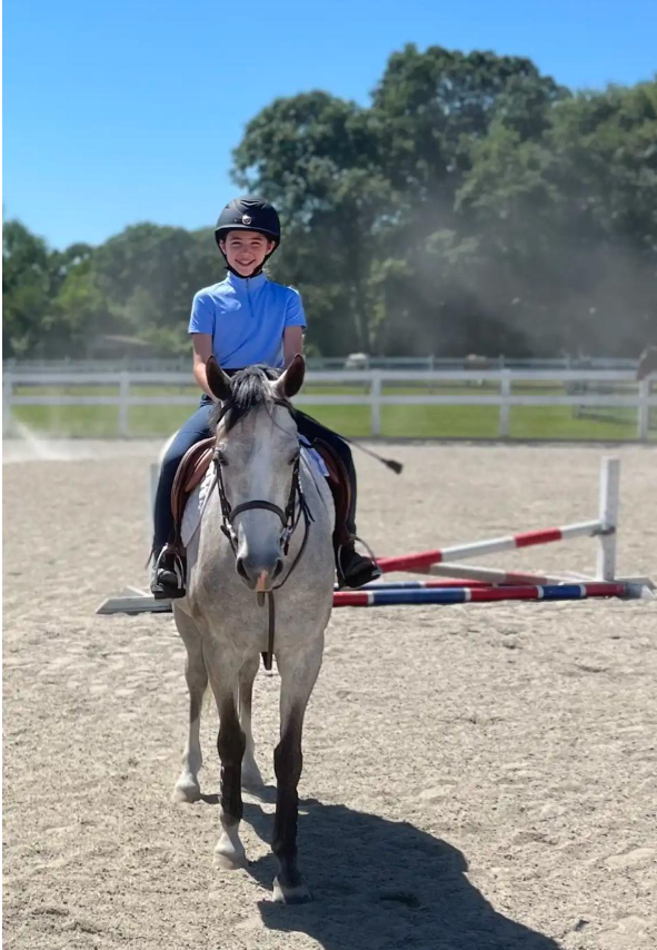 Morning Star Horse Farm McSoley Equestrian, Horseback Riding and Boarding in Rhode Island